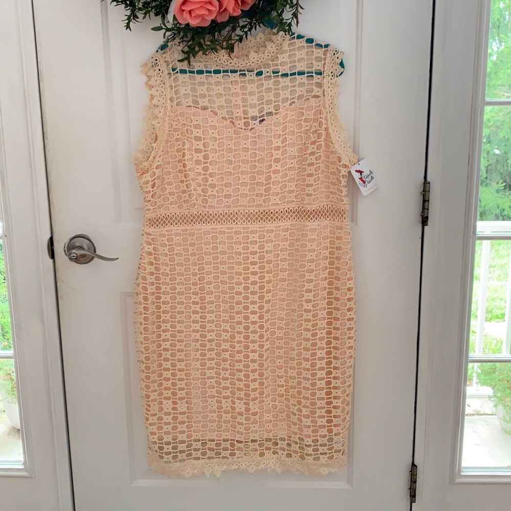 Eyelet lace sheath dress. 3xl